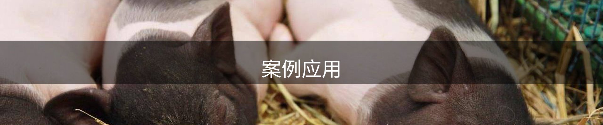 案例应用